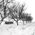 Wagon In Snow, Milk River Country