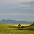 Lone Tree East Butte,  12x29in Hahnemuhle Fine Art Pearl Print